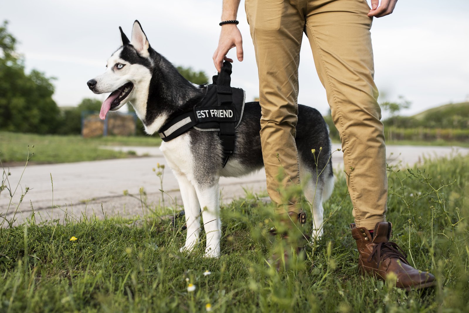 vigilantk9security